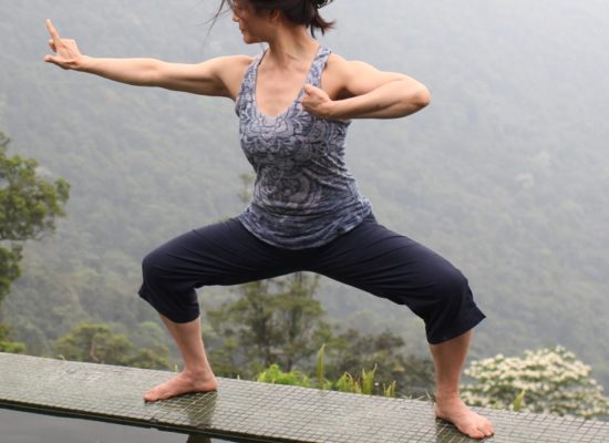 qigong for yoga teachers: an immersion qigong for yoga teachers: an immersion