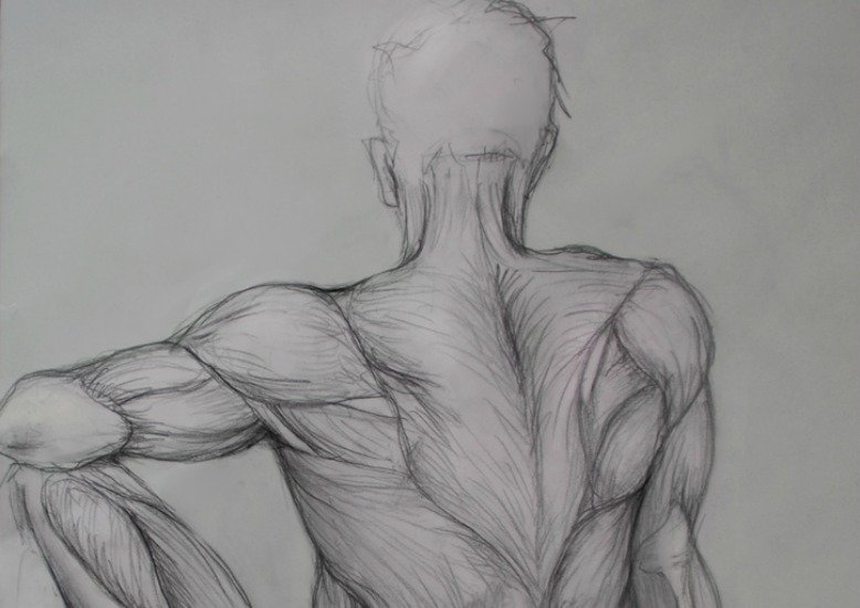 Fascia emotional release Clearance