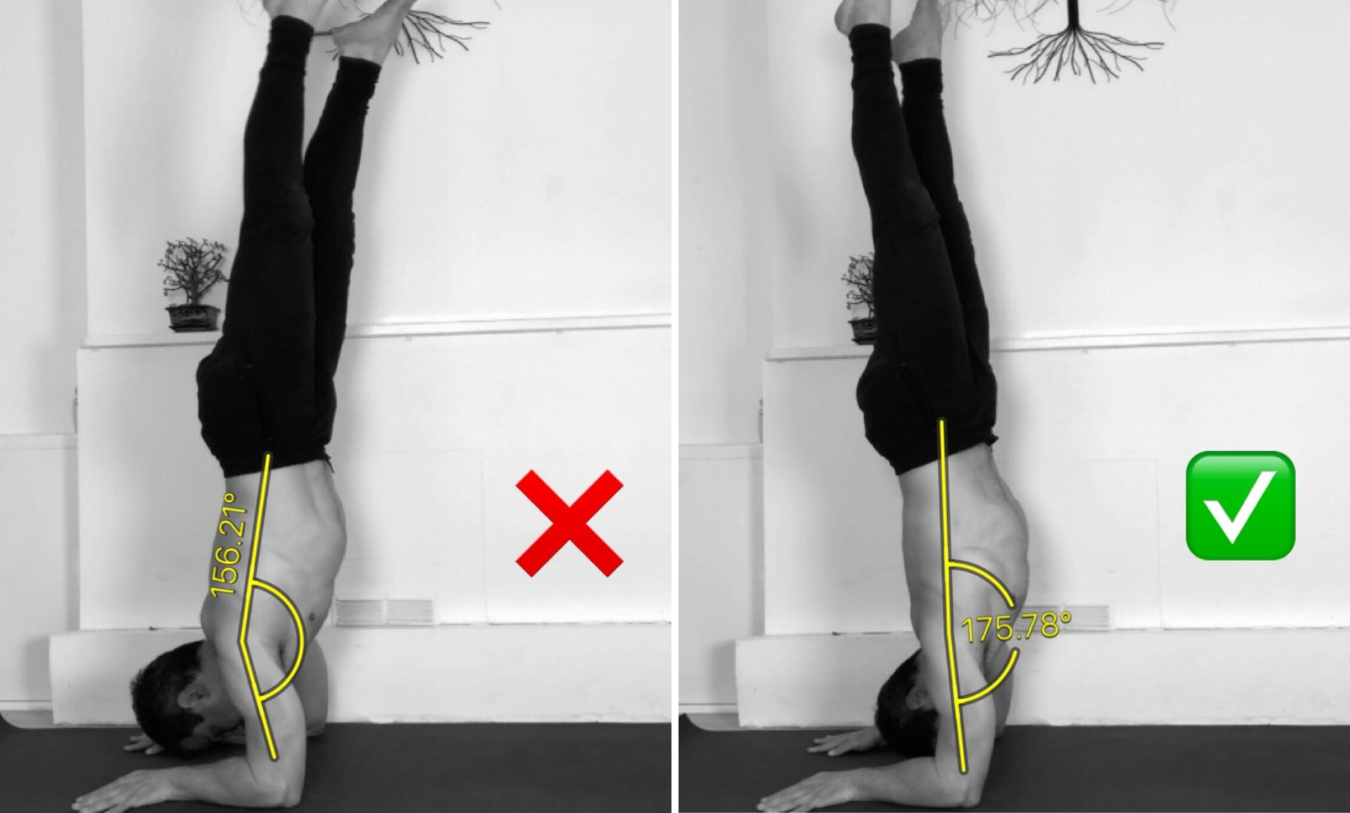 How to practice Pincha Mayurasana or Forearm Balance Pose