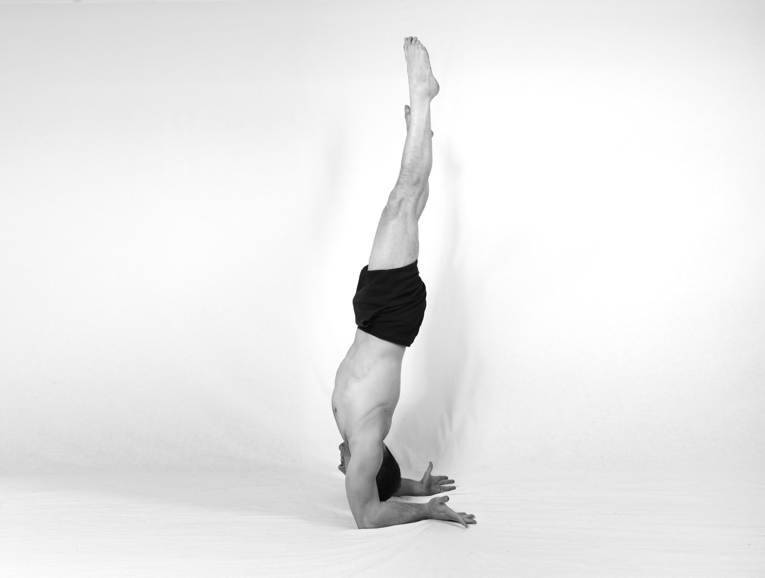 Forearmstand Anastasis