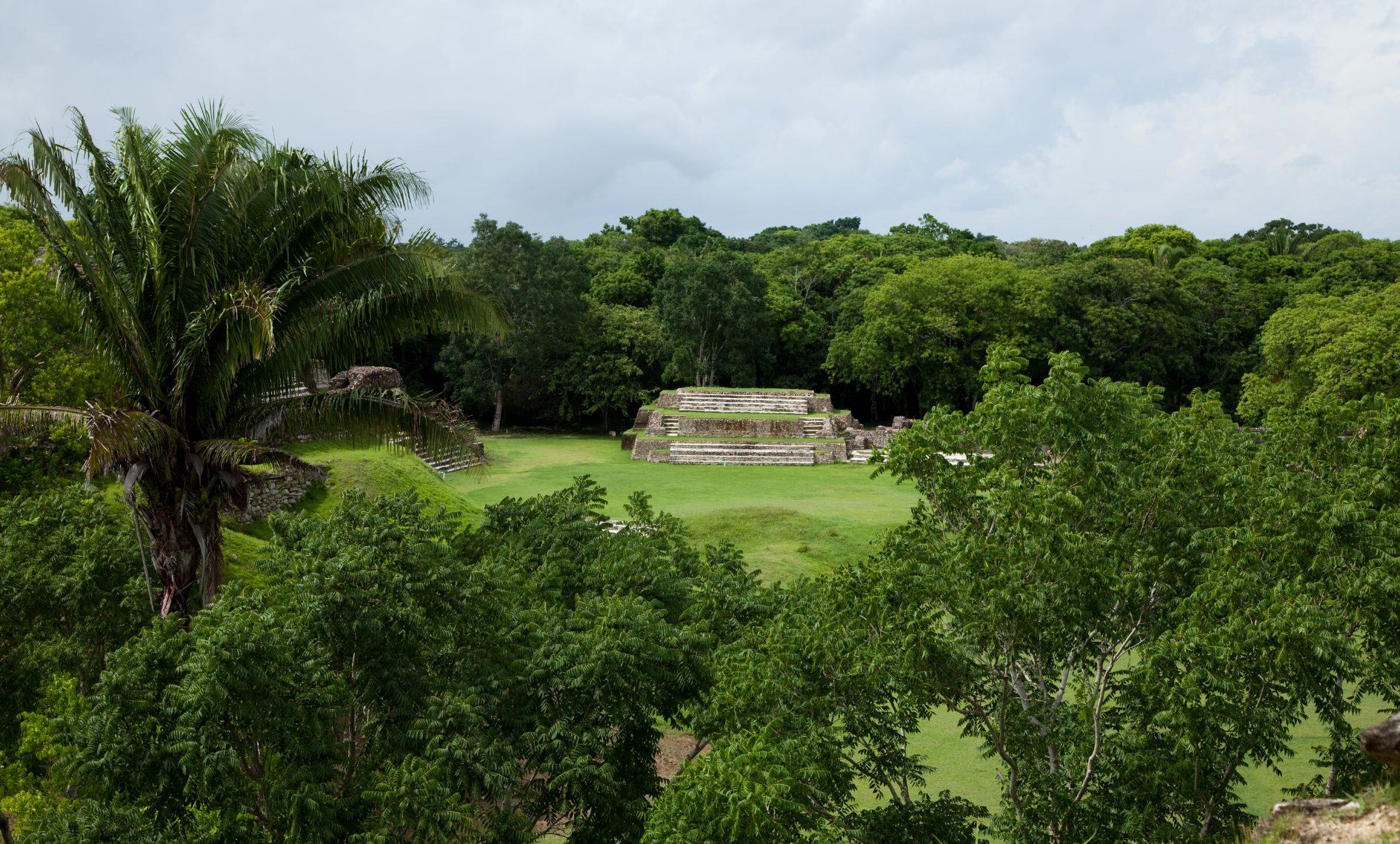 Maya Medicine