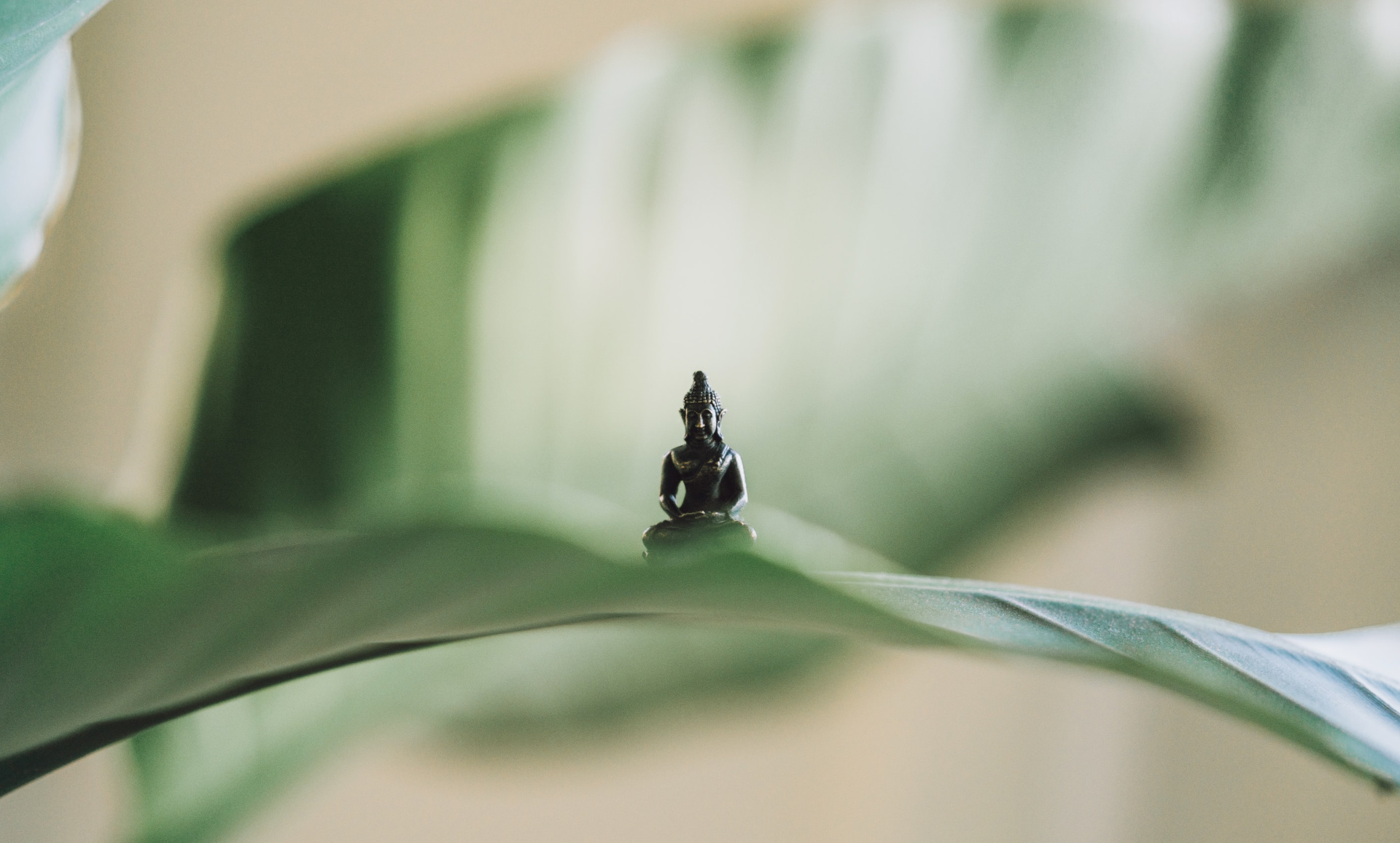 Ashley Jones Toolbox Blog Buddha