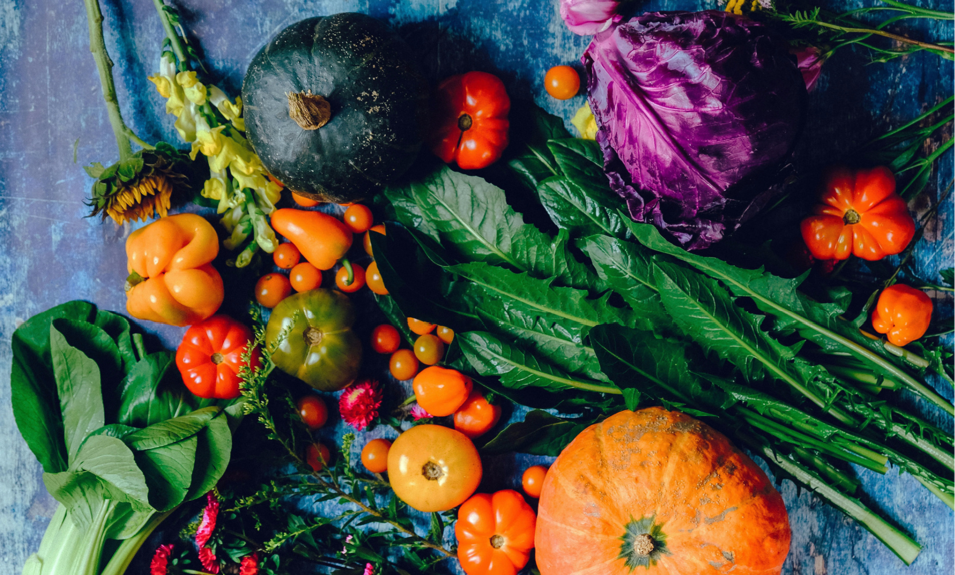 Autumn Foods 1920x157