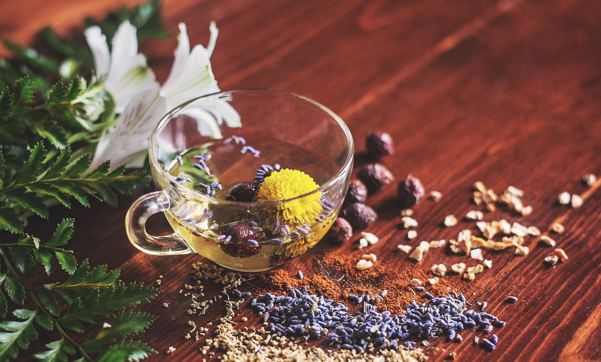 Portrait of Ayurveda Detox Herbs