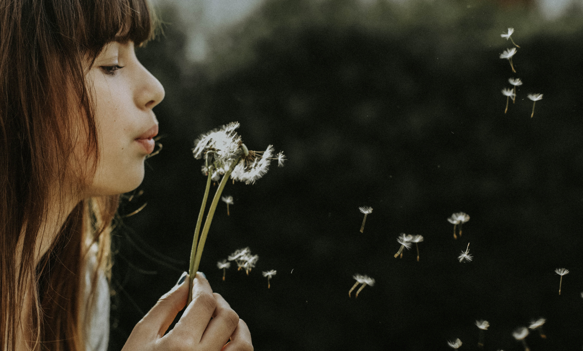 Breathe Blog Nine Koepfer Unsplash