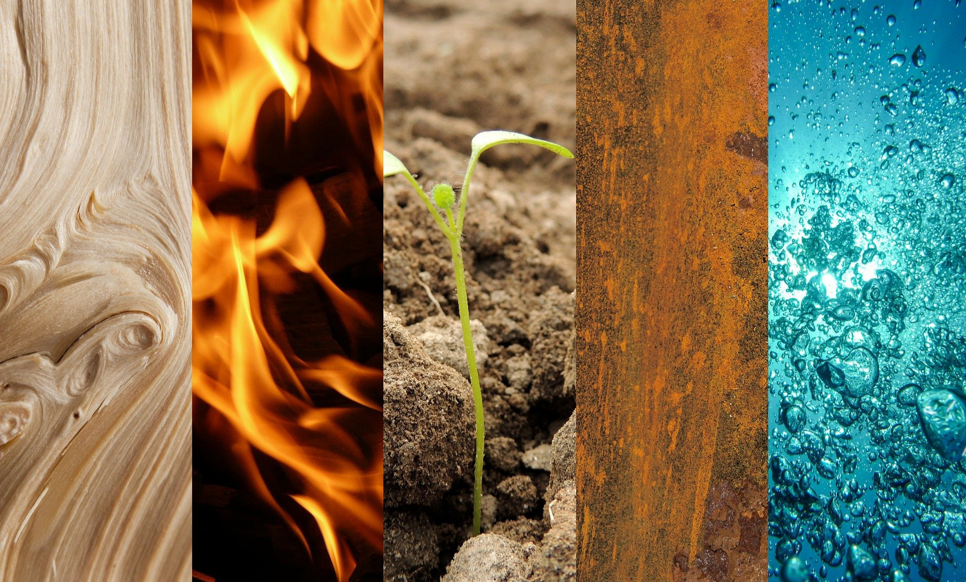 Five Elements Blog