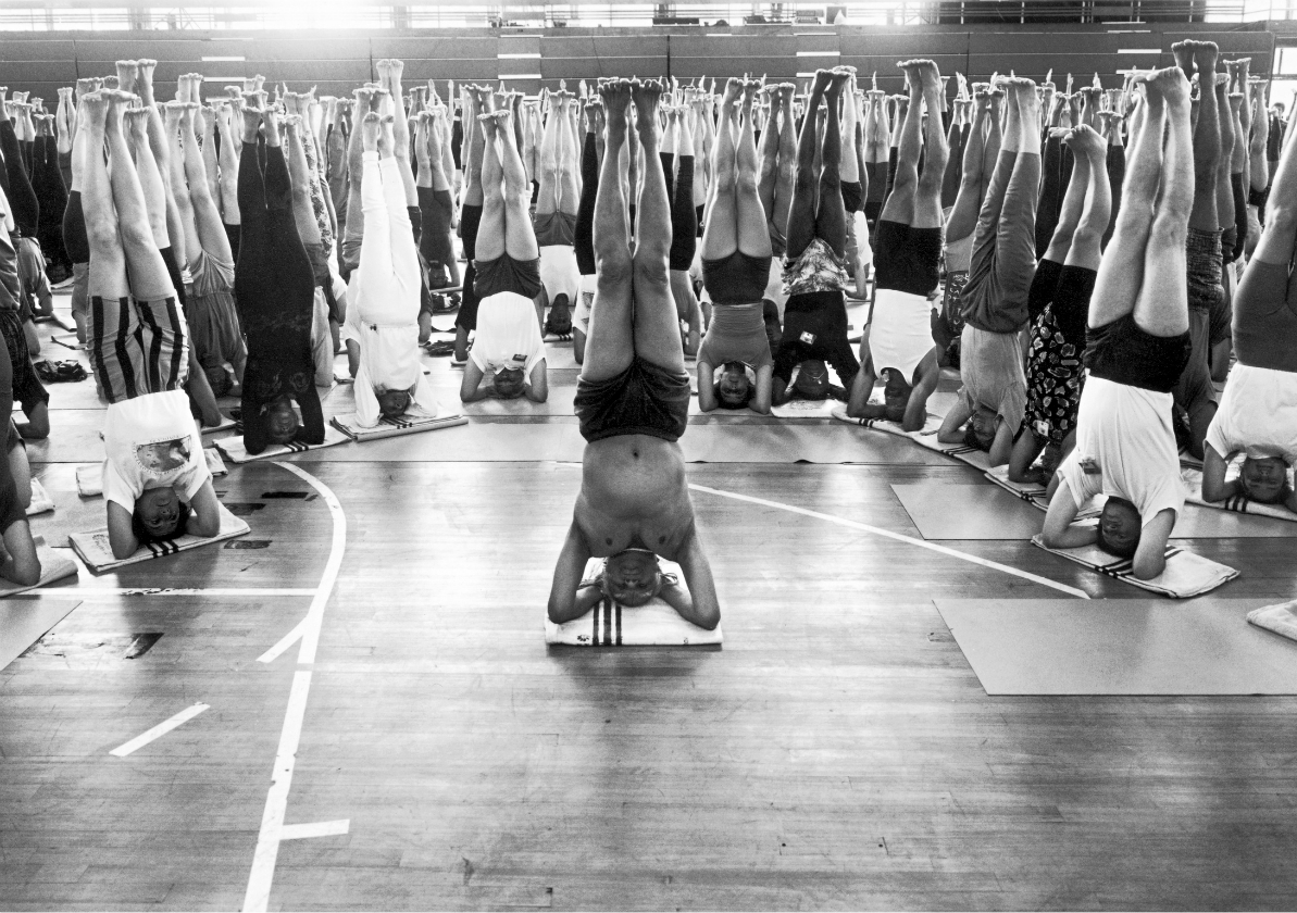 triyoga Bks Iyengar