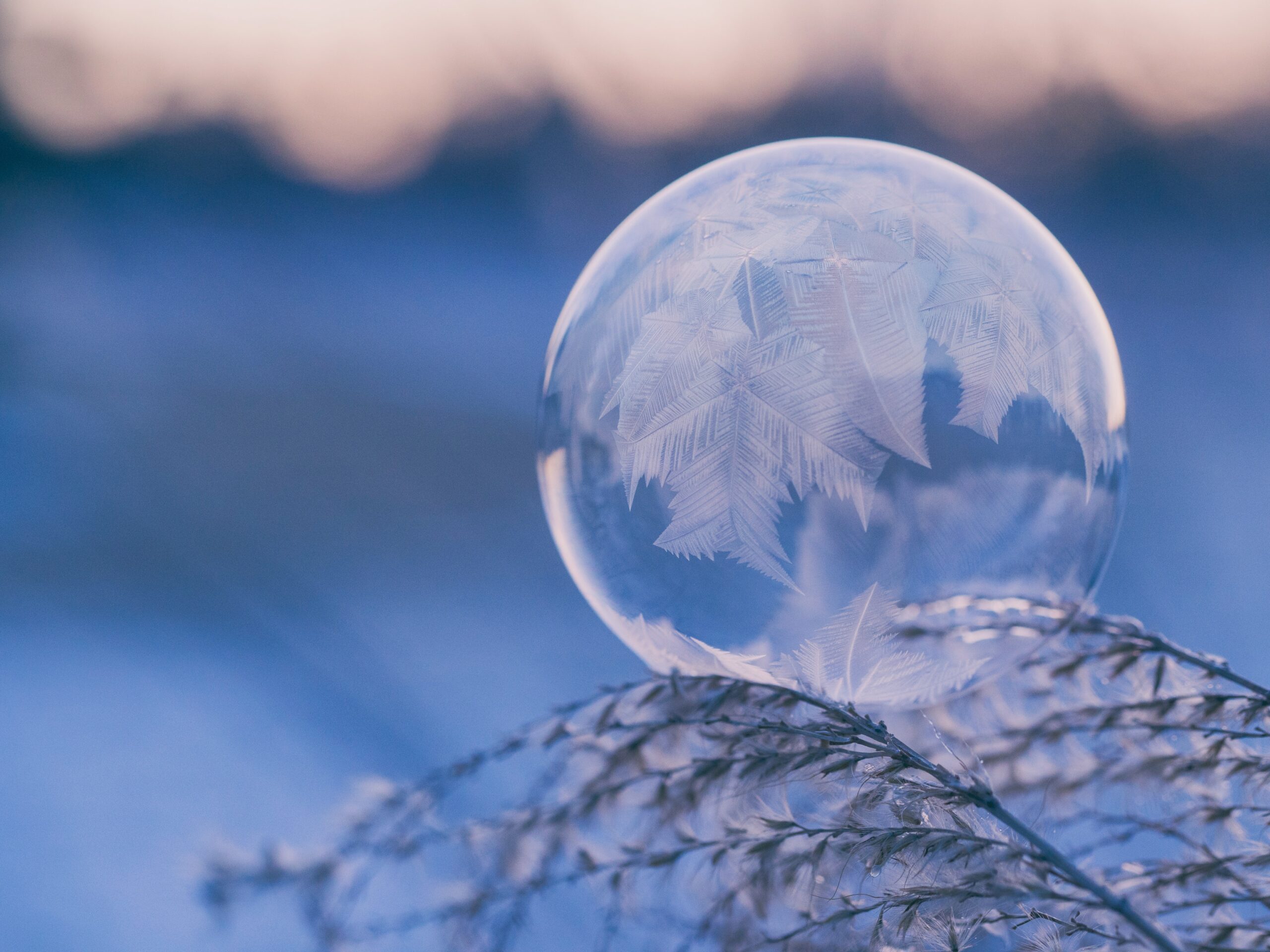 Portrait of Winter Solstice Scaled