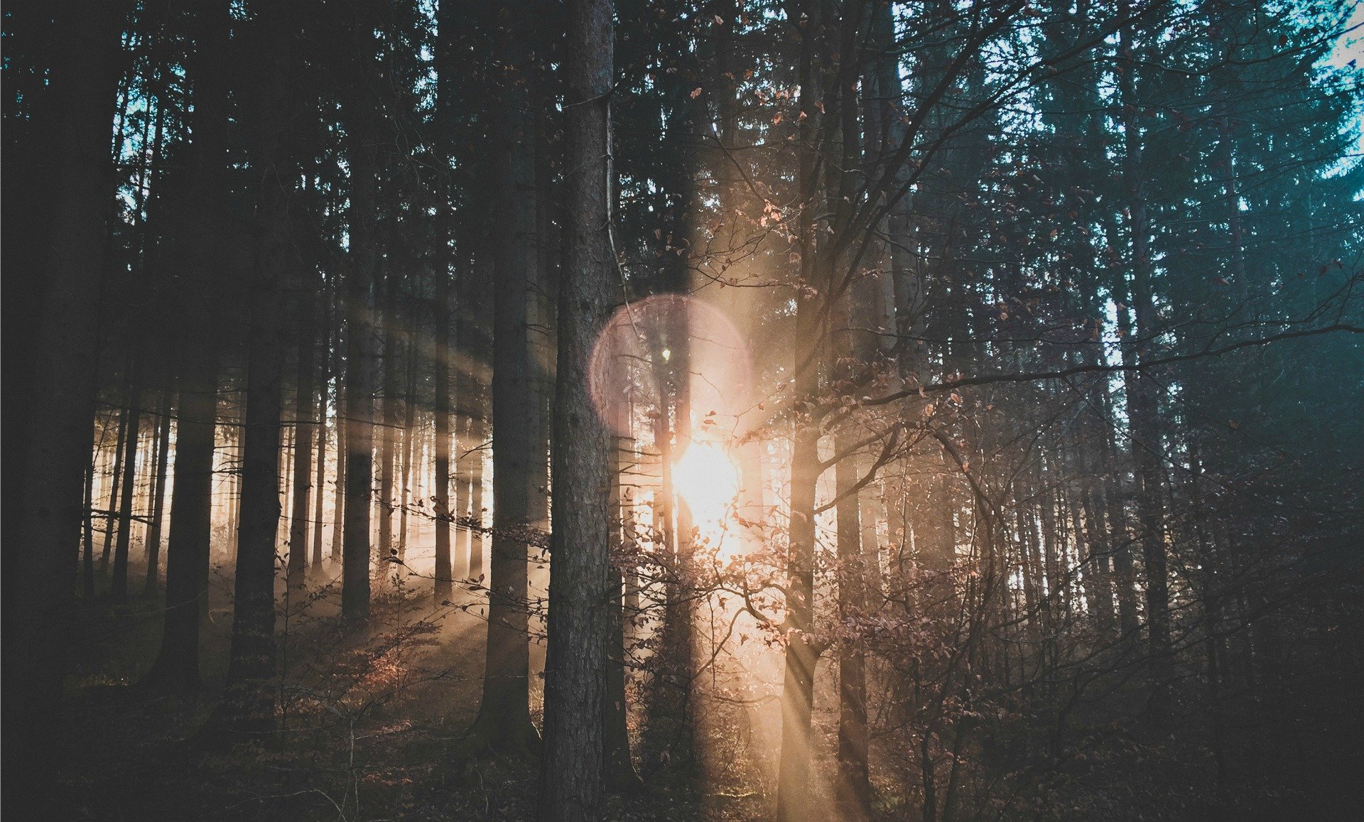 Winter Solstice2 1920x1157